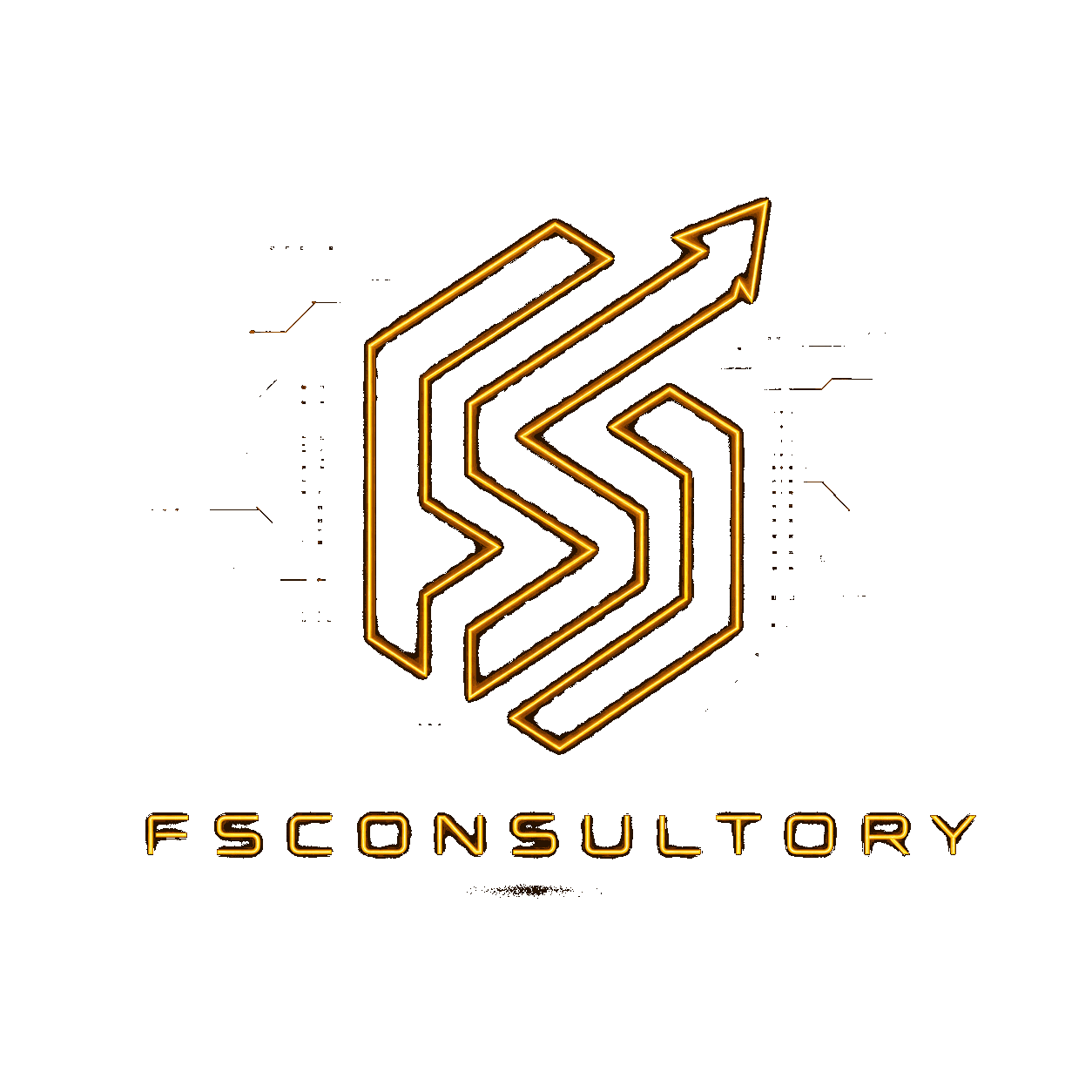 FSConsultory